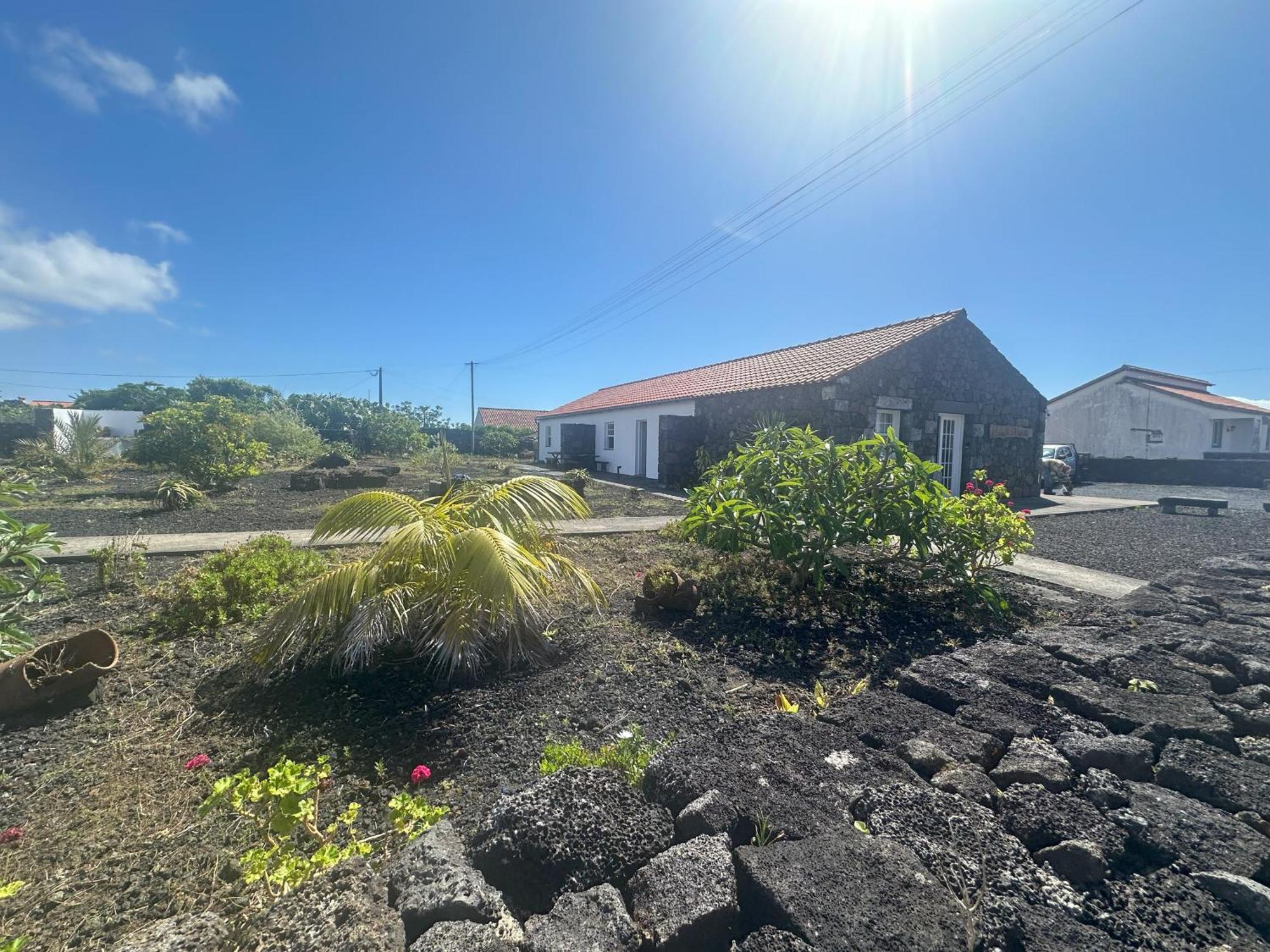 Casas Do Verdelho Madalena  Dış mekan fotoğraf