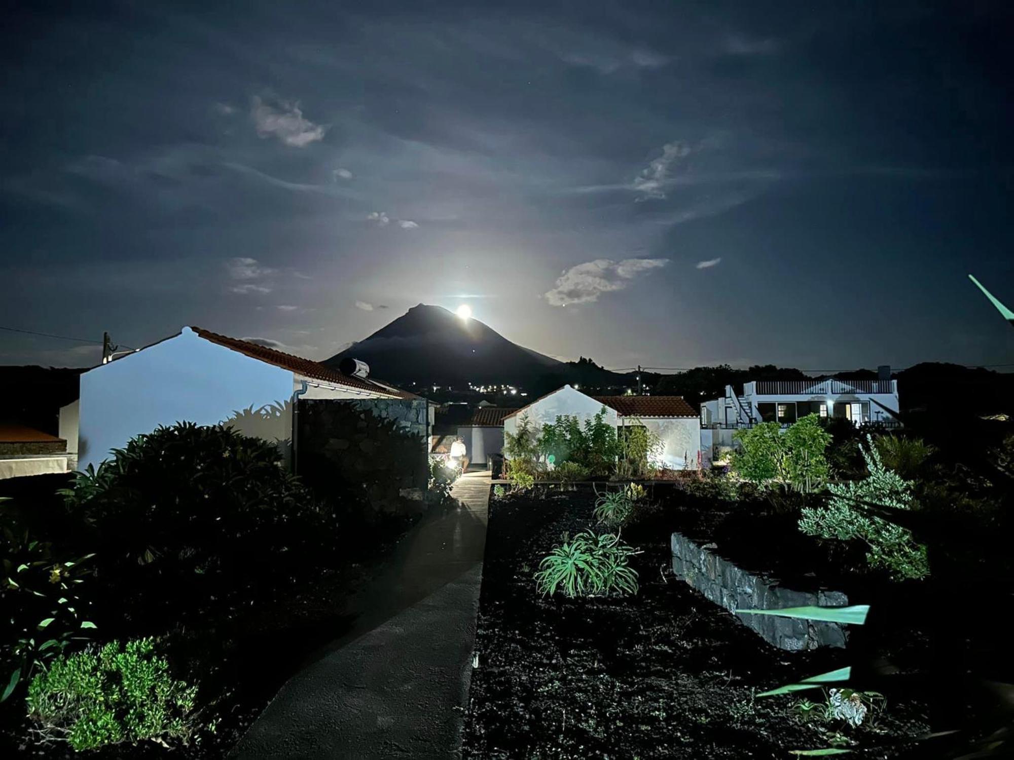 Casas Do Verdelho Madalena  Dış mekan fotoğraf