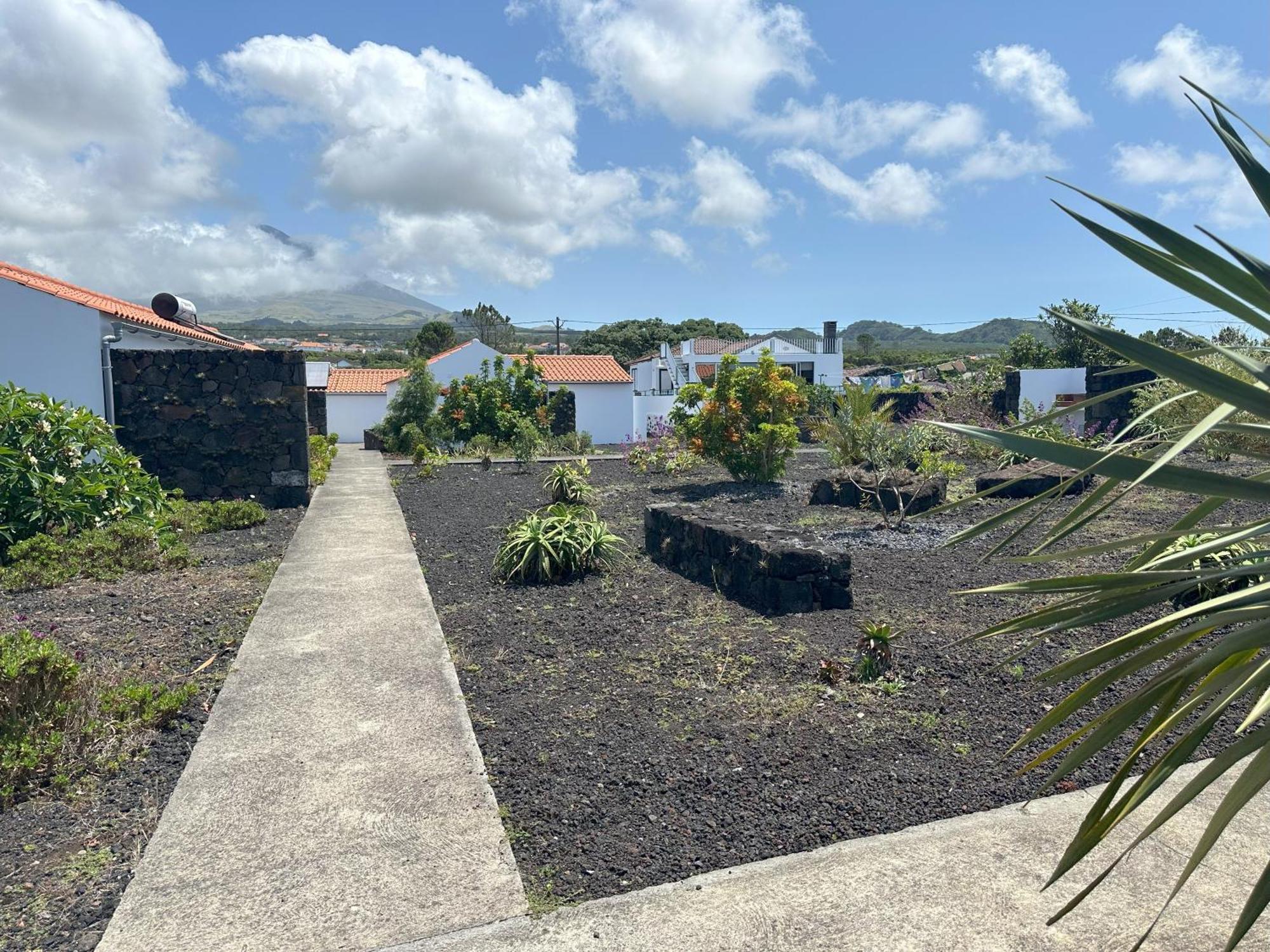 Casas Do Verdelho Madalena  Dış mekan fotoğraf