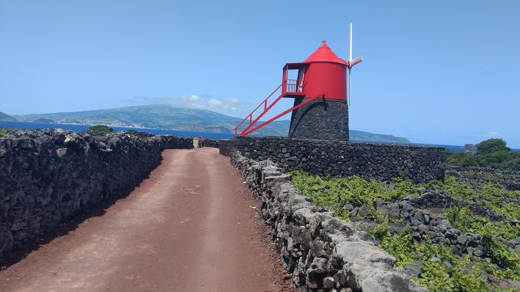 Casas Do Verdelho Madalena  Dış mekan fotoğraf