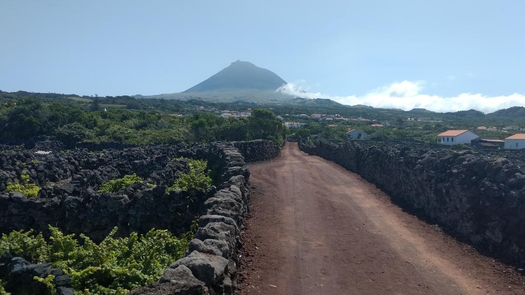 Casas Do Verdelho Madalena  Dış mekan fotoğraf