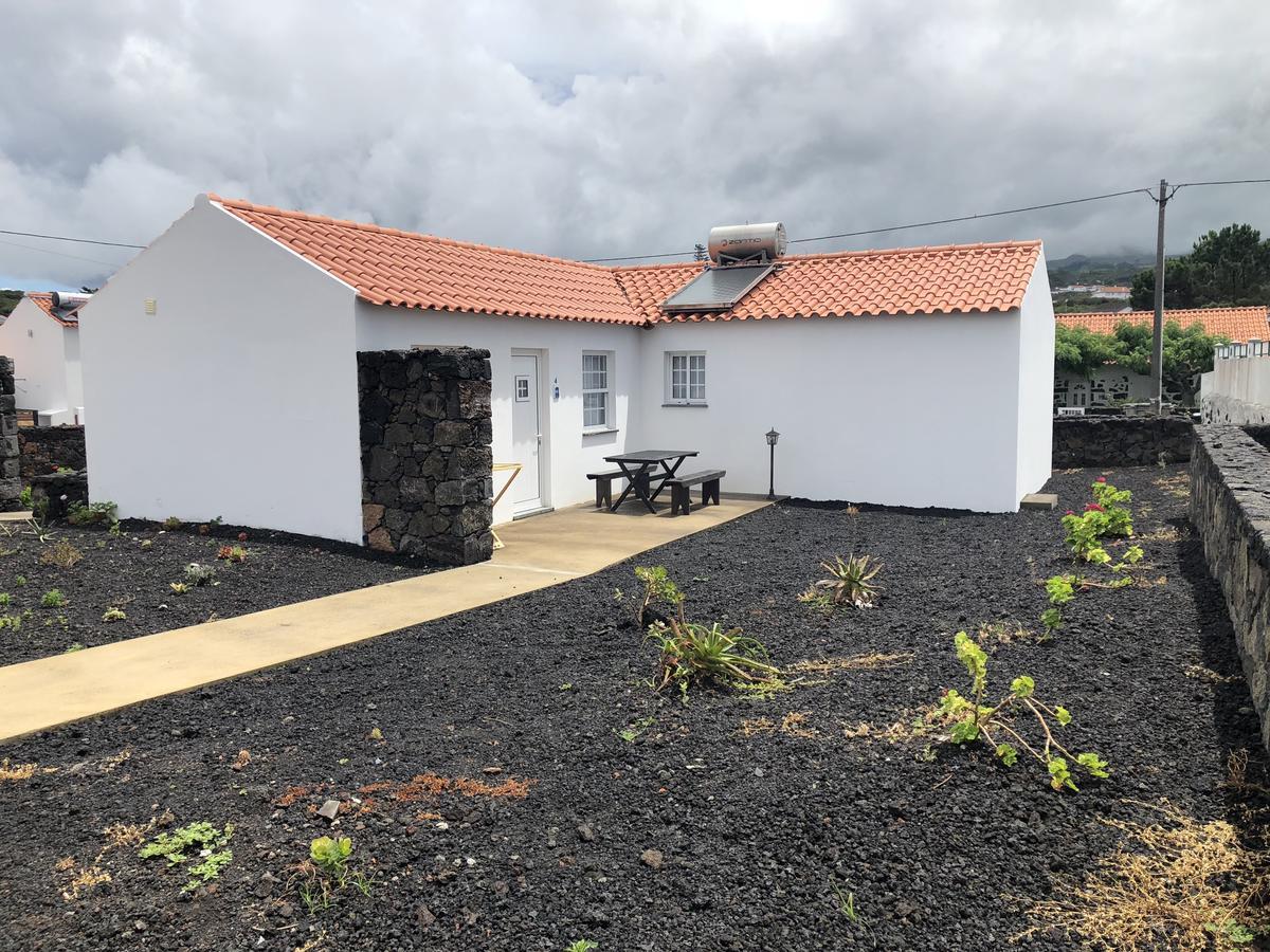 Casas Do Verdelho Madalena  Dış mekan fotoğraf